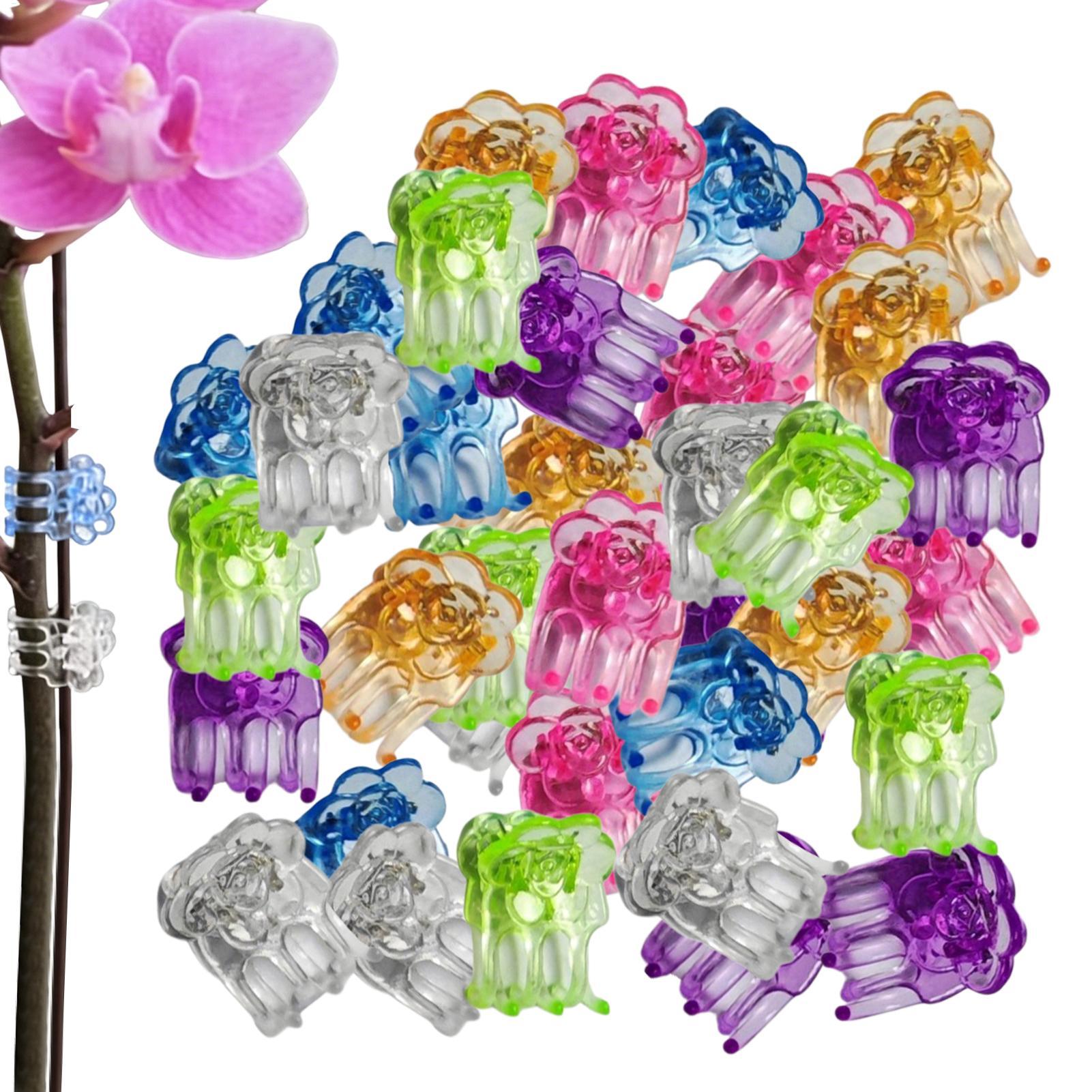 Orchid Potting Mix - 난초 클립 60개 나비 모양 꽃