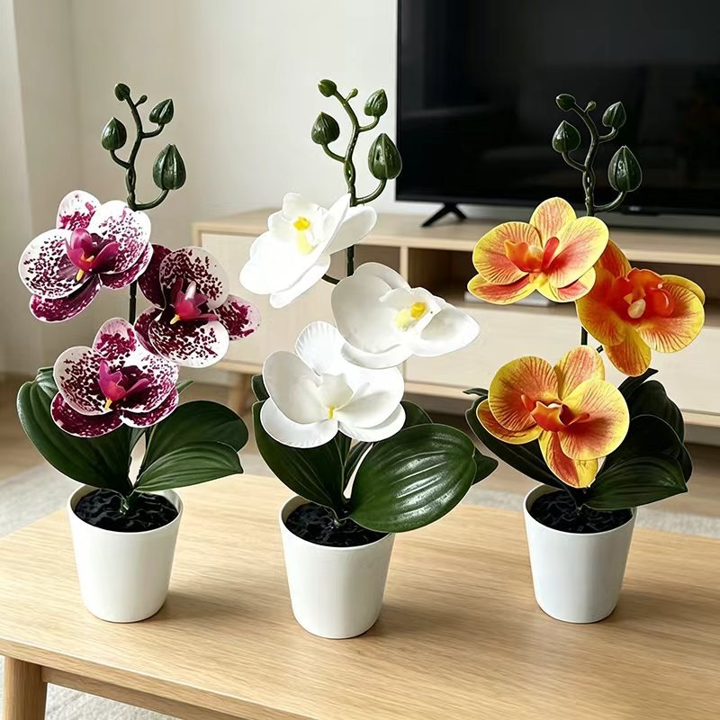 미니 나비 난초 화분(꽃 3송이 포함), 검은색 뚜껑  - Orchid Potting Mix 리뷰 및 가격