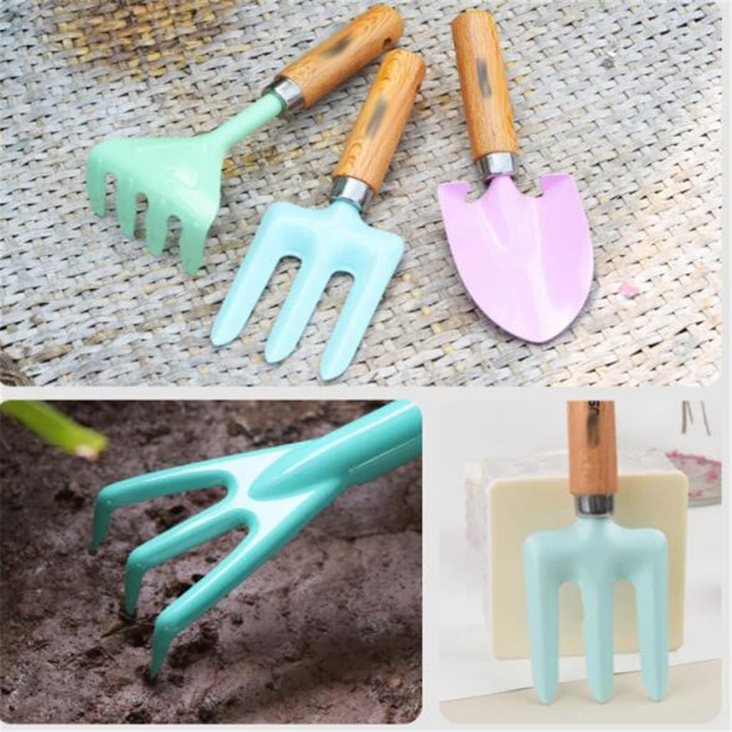 정원 도구 세트 3종 금속 손삽 갈퀴 정원 파종 제초기 - Gardening Tools For Digging 리뷰 및 가격