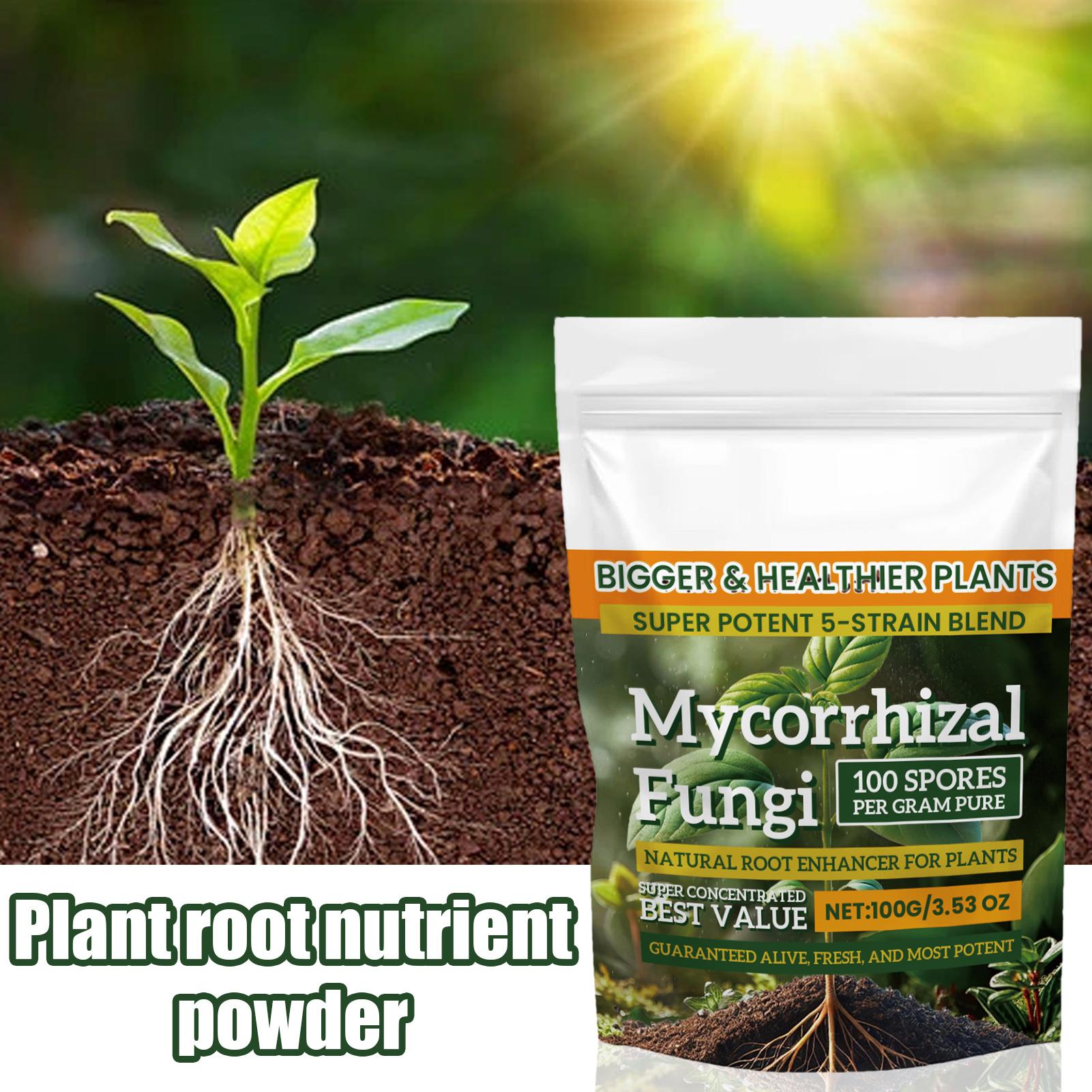 새로운 식물 영양분말 100g 식물 강화 영양분말 다목 - Orchid Potting Mix 리뷰 및 가격