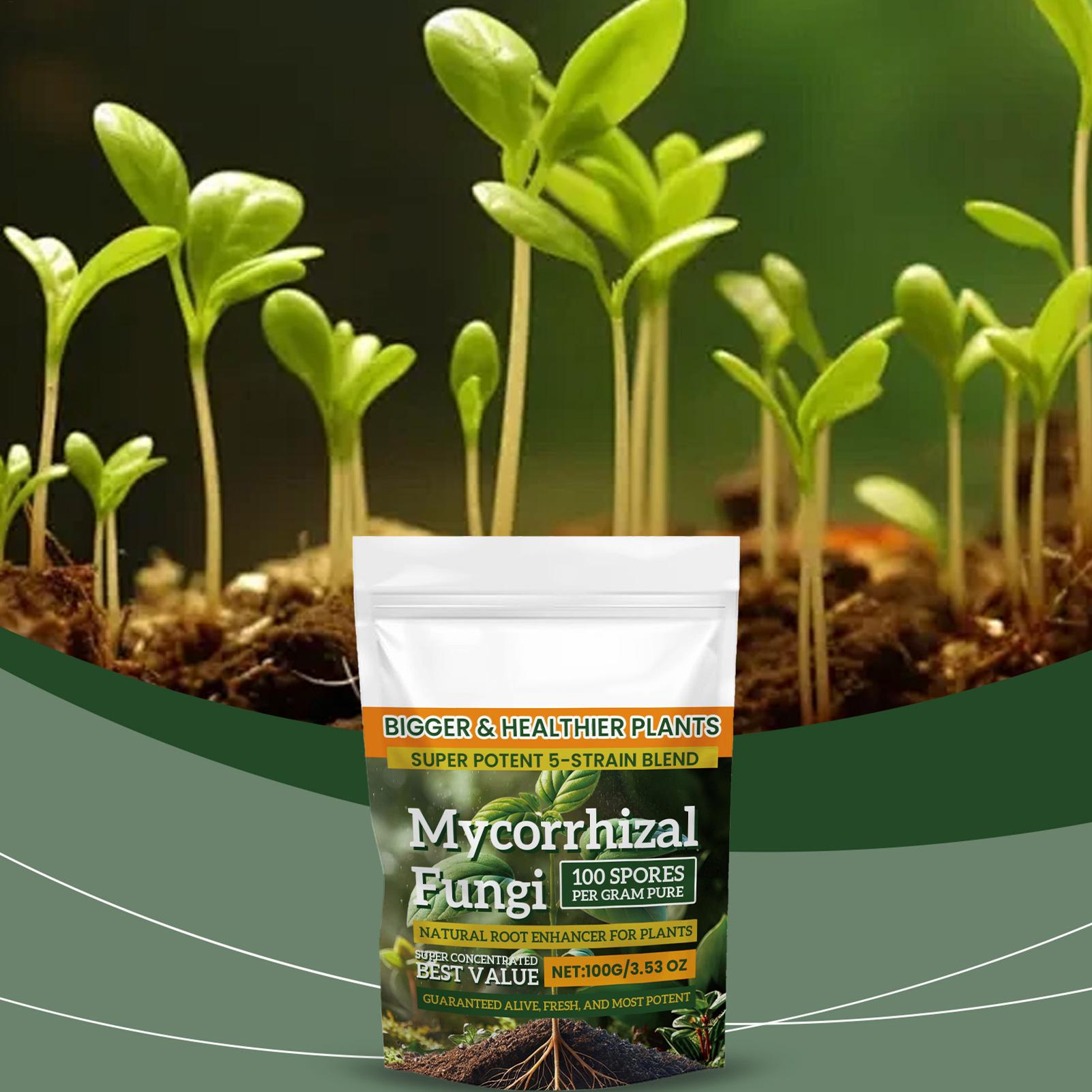 새로운 식물 영양분말 100g 식물 강화 영양분말 다목 - Orchid Potting Mix 리뷰 및 가격