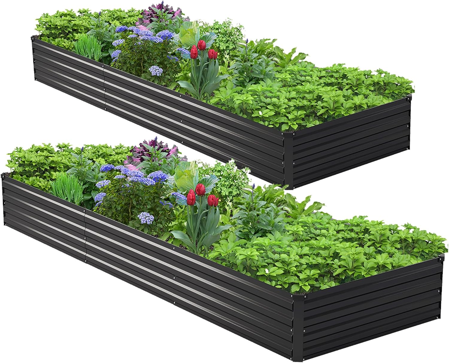 2개 세트 10x3x1피트 아연 도금된 높이형 정원 화 - Raised Bed Planter Box 리뷰 및 가격
