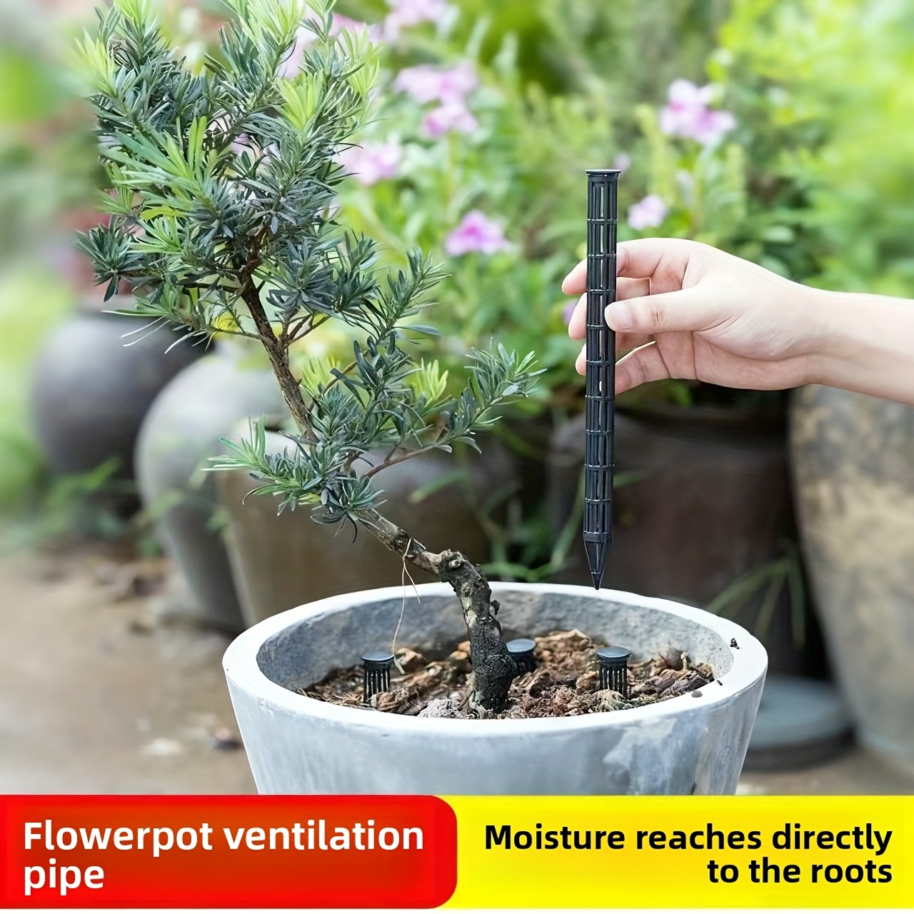 화분용 식물 통기 튜브 10개 - 뿌리 썩음 방지, 건 - Gardening Tools Youtube 리뷰 및 가격