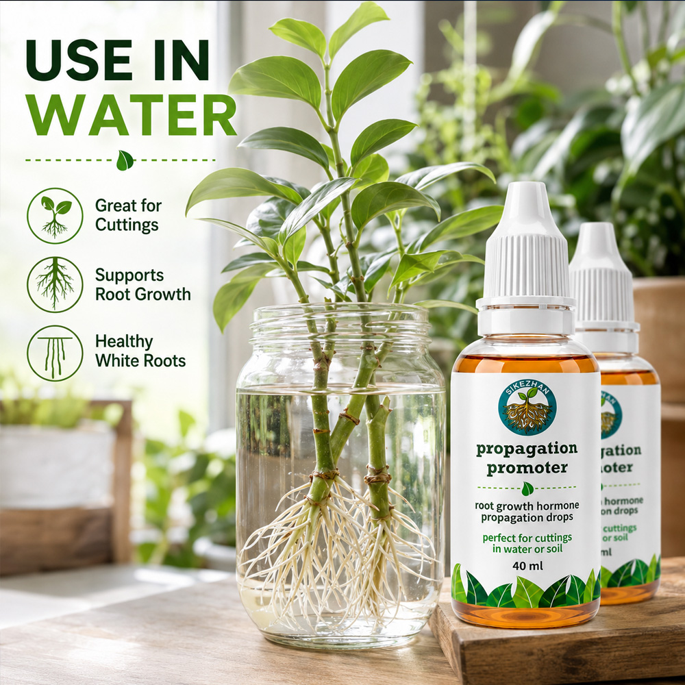 40ml 빠른 식물 뿌리 성장 촉진액, 실내 식물 줄기 - Orchid Potting Mix 리뷰 및 가격