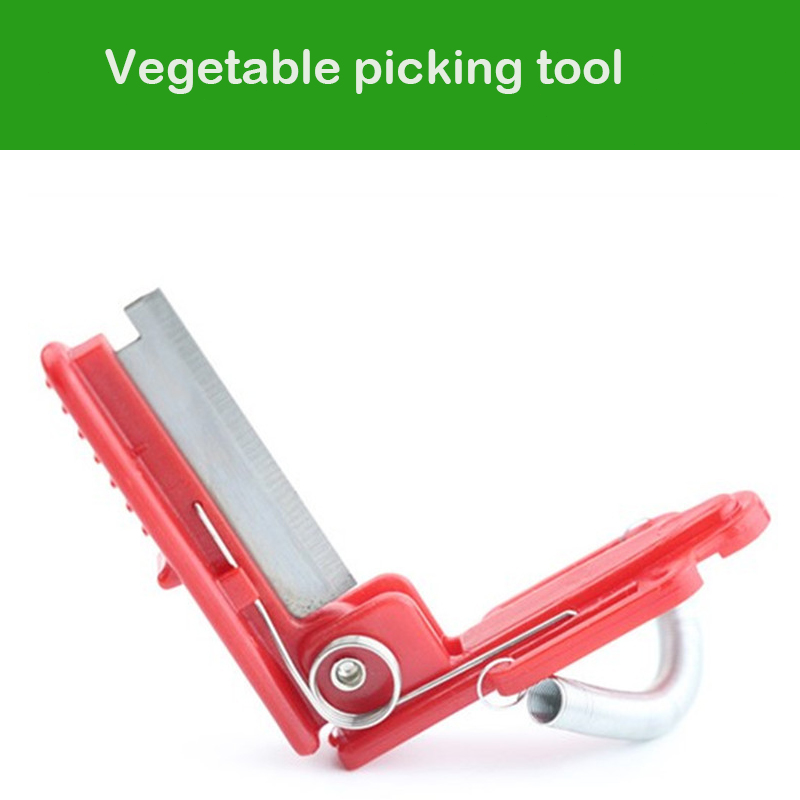 칼 분리기 야채 과일 수확 농장 정원 과수원 야채 Th - Gardening Tools Youtube 리뷰 및 가격