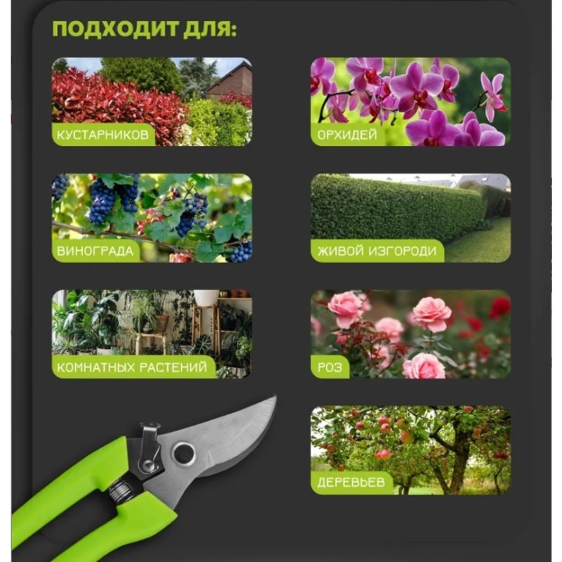【가격 인하】정원용 트리머 전정기 172mm 가지와 관 - Gardening Tools Price 리뷰 및 가격