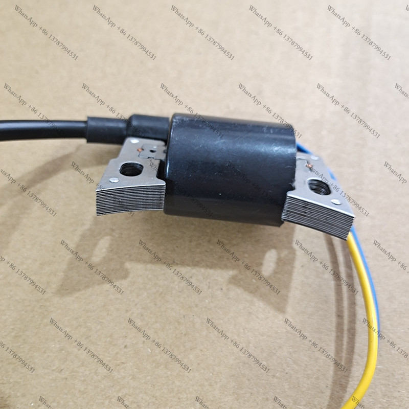 TI2000 TI2600 점화 코일 TI 2000 /  - Gardening Tools Toolstation 리뷰 및 가격