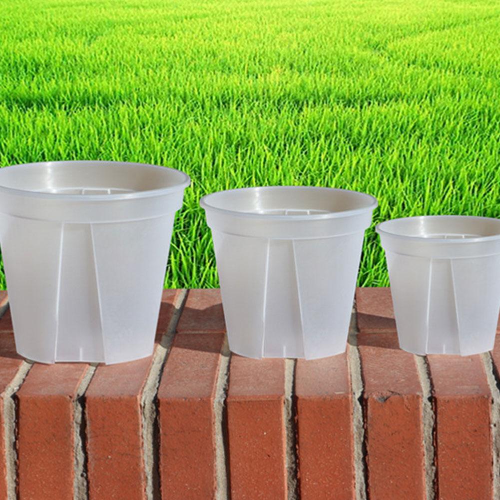 쟁반이 있는 투명 플라스틱 화분, 뿌리 관리 화분, 통 - Orchid Potting Mix 리뷰 및 가격