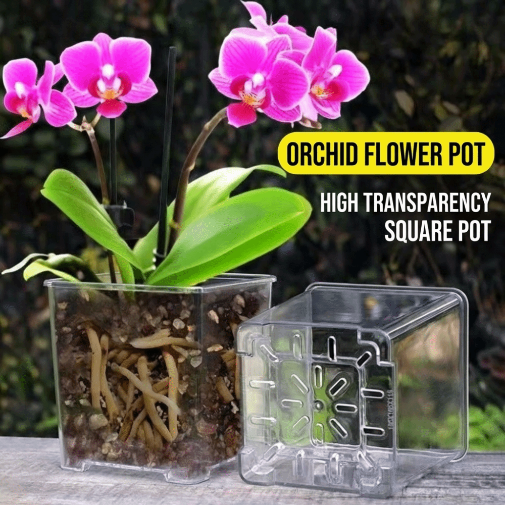 5개/키트 투명 플라스틱 난초 화분, 에어 컬럼 꽃 화 - Orchid Potting Mix 리뷰 및 가격
